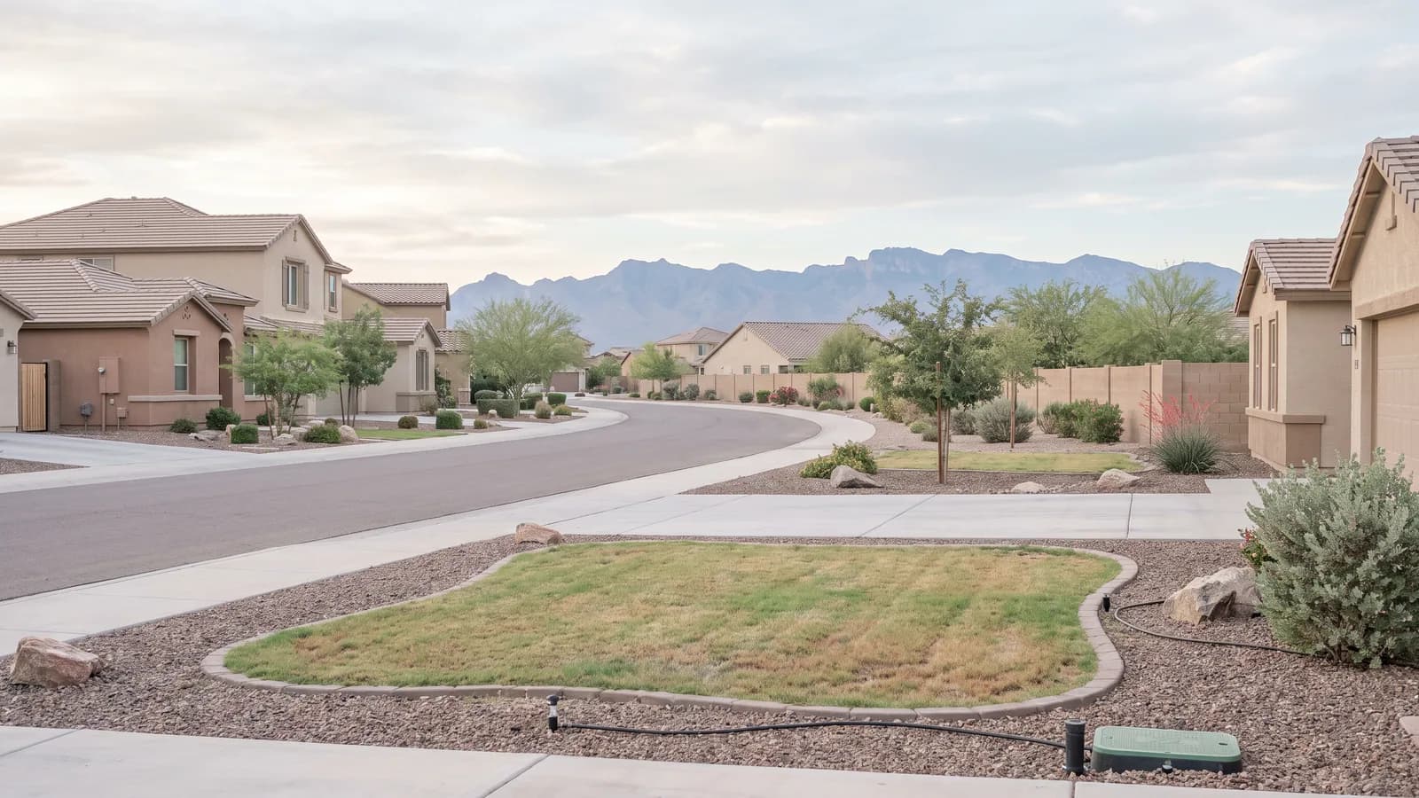 Quiet curving street in a newer Surprise, Arizona neighbourhood with rock-mulch front yards and the White Tank Mountains beyond