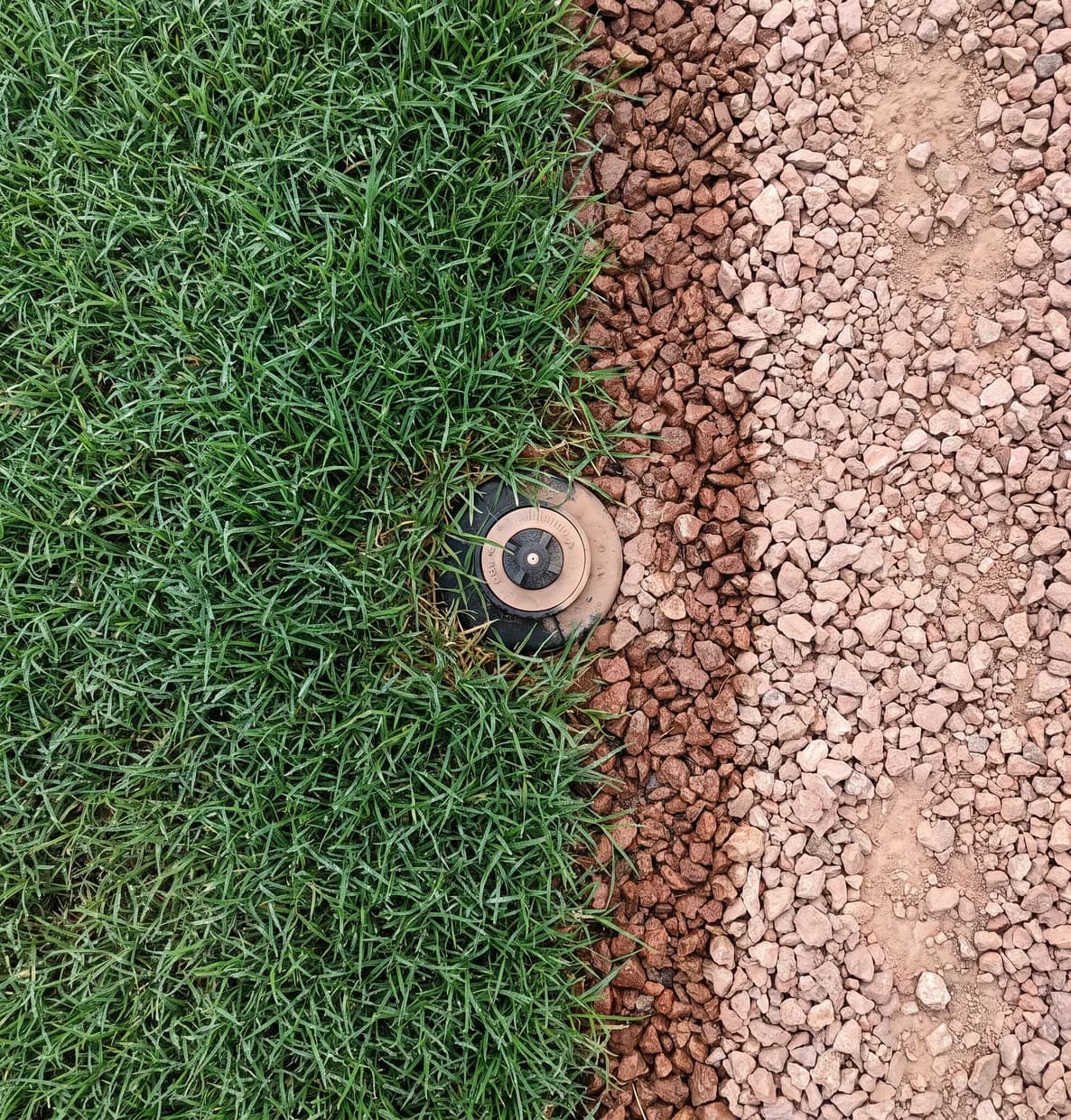 Spray head at a lawn edge with damp grass stopping neatly at dry rock mulch, seen from above