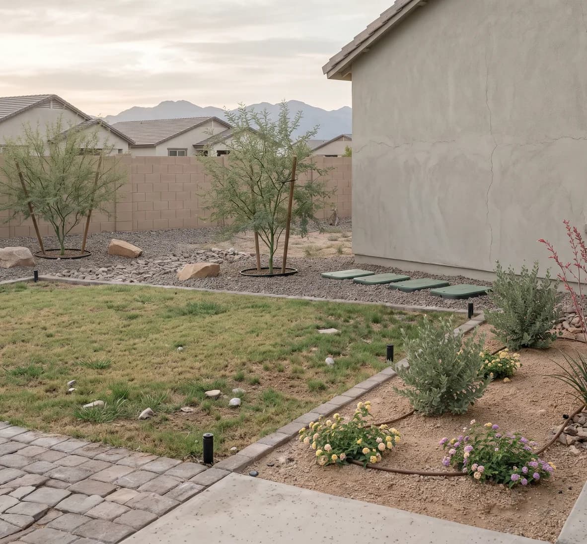 New backyard laid out in separate lawn, shrub, tree and cactus groups with a row of valve boxes along the house